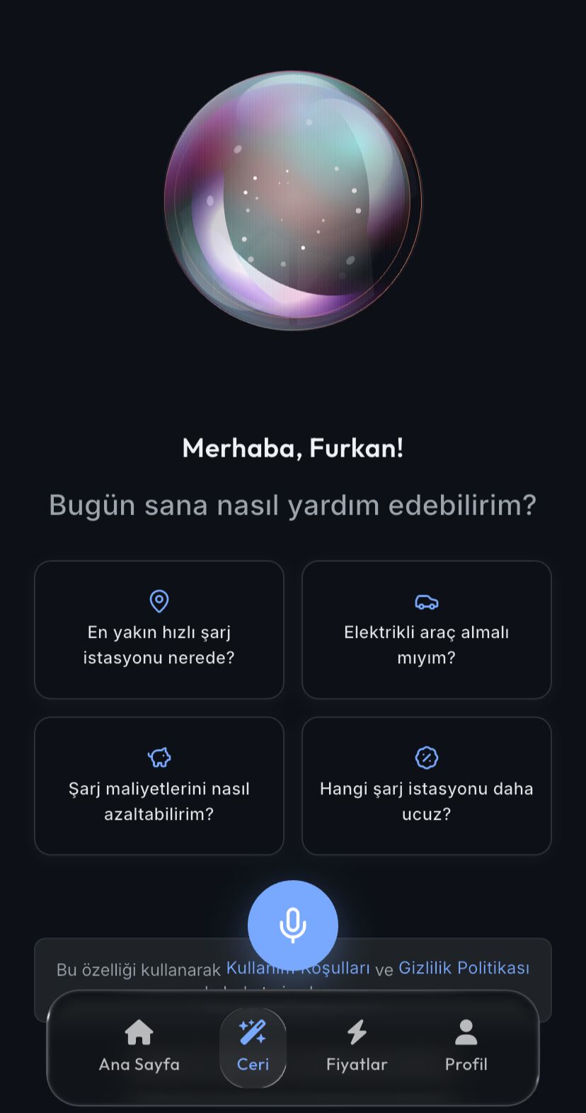 Ceri voice assistant welcome screen